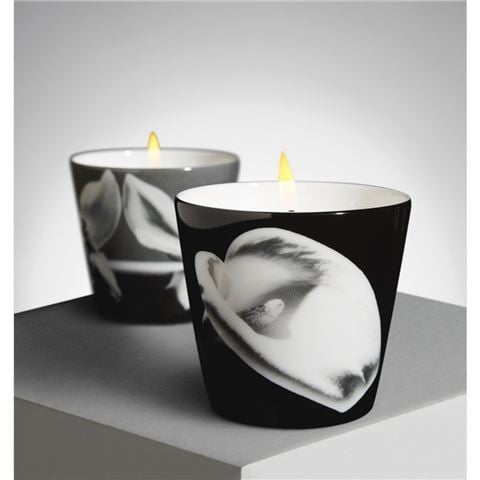 Ligne Blanche Robert Mapplethorpe Calla Lily & Orchid Candle Set 2pce - Peter's of Kensington
