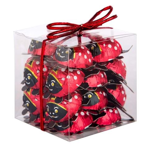 Storz - Milk Chocolate Ladybirds 125g