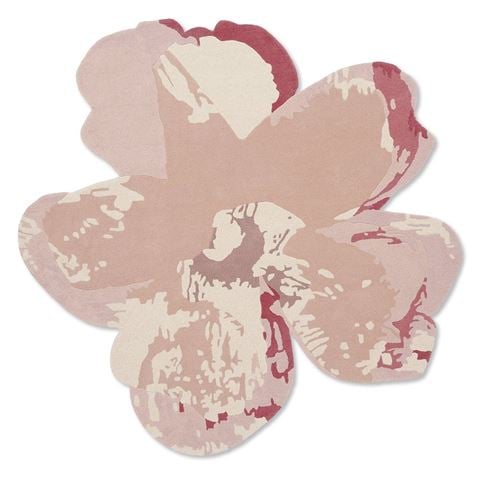 Ted Baker Rugs