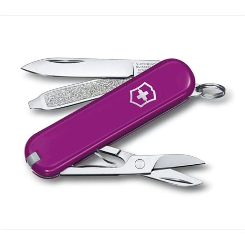 Victorinox Swiss Army Knives
