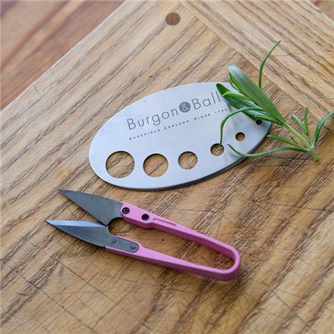 Burgon & Ball - Asteraceae Herb Set 3pce