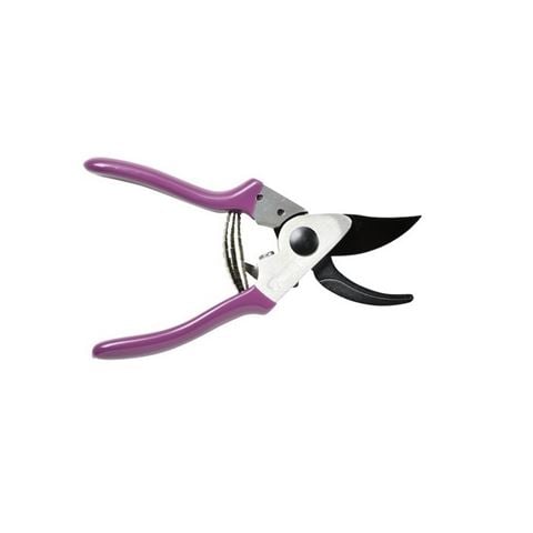 Burgon & Ball - Asteraceae Pruner & Holster Set w/Tin 3pce