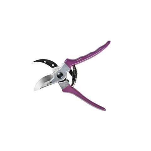 Burgon & Ball - Asteraceae Secateurs