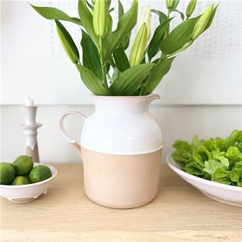 Mode Cucina Jug 26x17cm - Peter's of Kensington