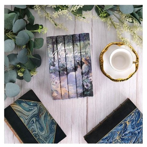 Collectors Library - Jane Austen Delicious Solitude Book Set 5pce