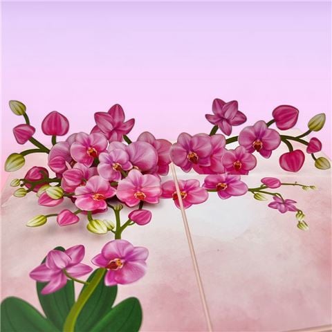 Colorpop - Pink Orchids Pop Up Card