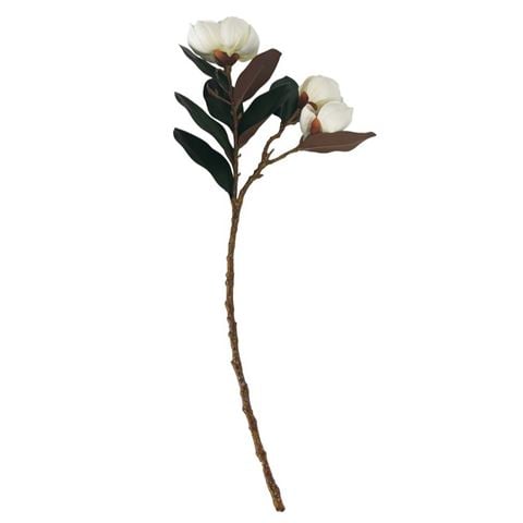 Cote Noire - Artificial Magnolia Stem 80cm