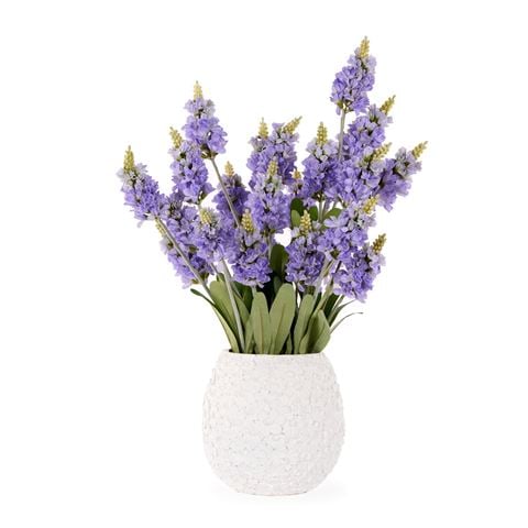 Easter - Potted Grape Hyacinth Arrangement 69.5cm
