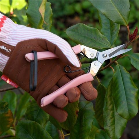 Burgon & Ball - Collector Flower Snips Blush