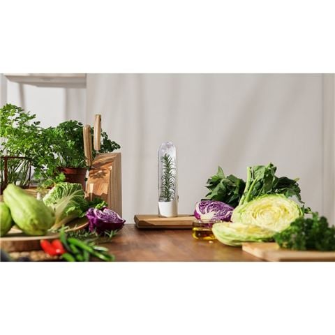 Prepara - Herb Savour Pod 2.0