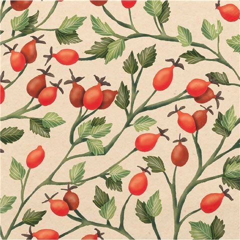 Paper Products - Rosehips Lunch Napkin 33x33cm 20pce