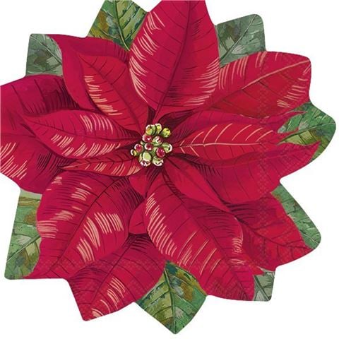 IHR - Elegant Poinsettia Lunch Napkin Set 33x33cm 20pce