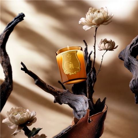 Trudon Limited Edition Altair Candle 270g - Peter's of Kensington