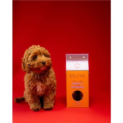 Ecoya - Dog Grooming Set 2pce