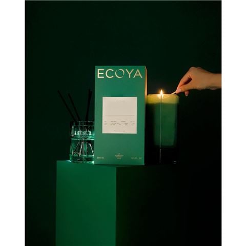 Ecoya - Limited Edition Keepsake Candle 3 Green 550g