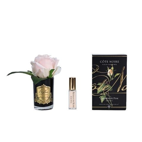 Cote Noire - Perfumed Peach Rose Bud w/Black Vase & Gold Crest
