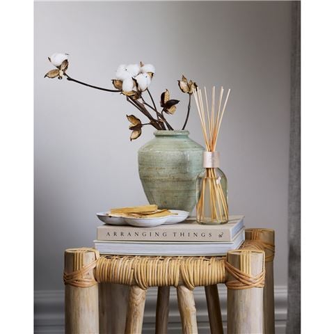 CIRCA - Mango & Papaya Diffuser w/Reeds 250ml