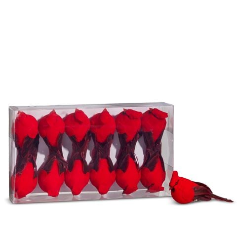 Raz Yuletide Traditions Holly & Pine-Clip-On Cardinal Ornament Set 12pce - Peter's of Kensington