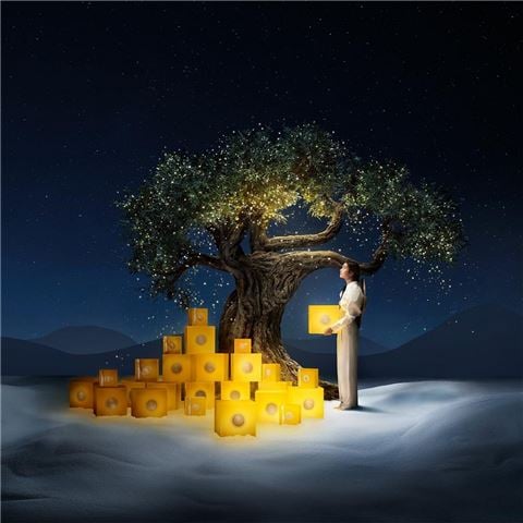 L'Occitane - Shea Nourishing Collection 3pce