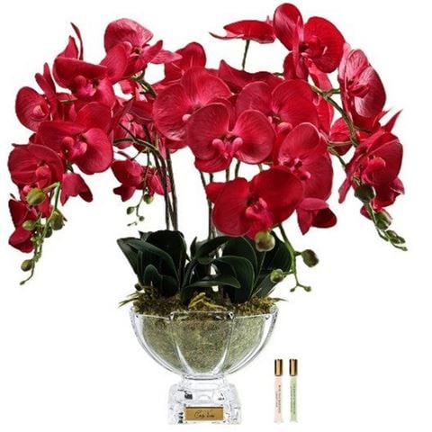 Cote Noire - Luxury Orchid Centrepiece Bouquet Red w/Round Vase & Gold Crest
