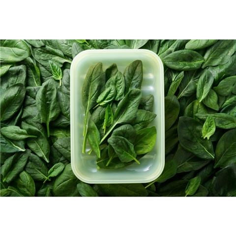 Lock & Lock - Fresh Block Container Set 2pce 330ml