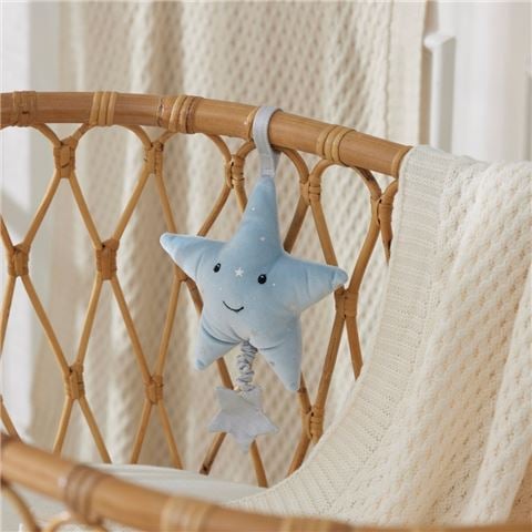 Jiggle & Giggle - Musical Toy Star