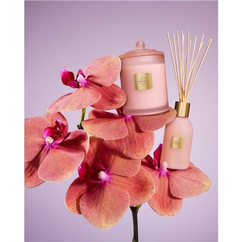 Glasshouse - Ltd. Edition Radiance In Bloom Fragrance Diffuser 250ml