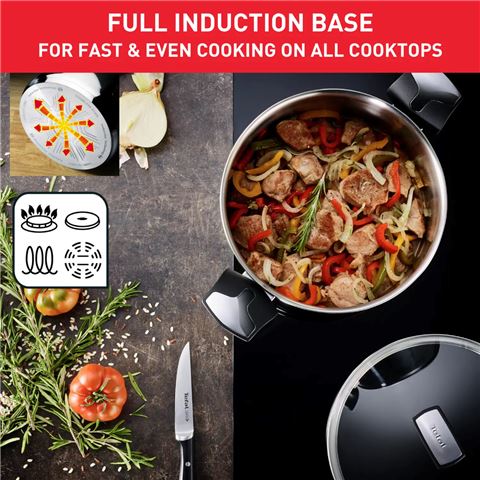 Tefal - Emotion Induction Stainless Steel Stockpot 9L