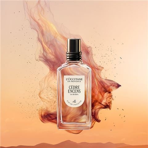 L'Occitane - Cèdre Encens Eau De Toilette 50ml