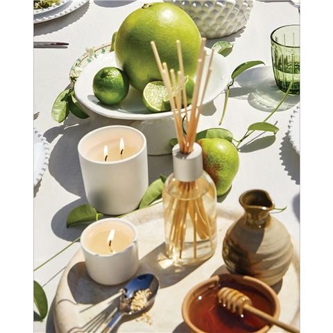 CIRCA - Lime & Lemongrass Diffuser w/Reeds 250ml