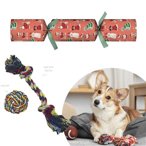 Mistletoe & Merry - Novelty Pets Dogs