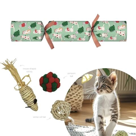 Mistletoe & Merry Novelty Pets Cats XL - Peter's of Kensington