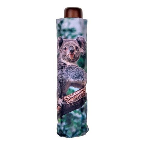 Clifton rPET Deluxe Mini Maxi Umbrella Koala - Peter's of Kensington