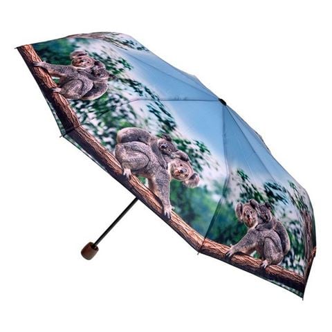 Clifton rPET Deluxe Mini Maxi Umbrella Koala - Peter's of Kensington