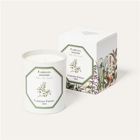 Carriere Freres - Tea Plant Candle 185g