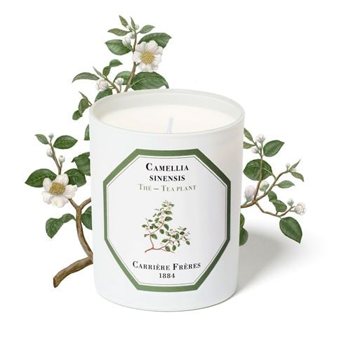 Carriere Freres - Tea Plant Candle 185g