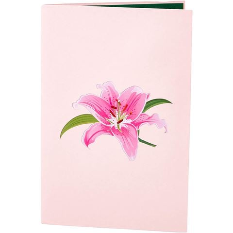 Colorpop - Pink Lily Flower Greeting Card Medium