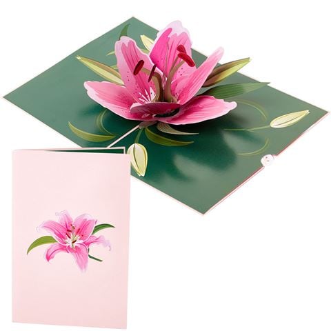 Colorpop - Pink Lily Flower Greeting Card Medium
