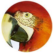 Vista Alegre - Olhar O Brasil Charger Plate Macaw Red