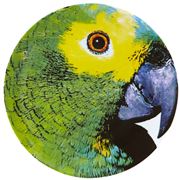 Vista Alegre - Olhar O Brasil Charger Plate Parrot