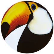 Vista Alegre - Olhar O Brasil Charger Plate Toucan