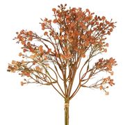 Florabelle - Gypsophila Bundle Apricot 36cm