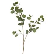 Florabelle - Eucalyptus Soft Touch Spray Green 1 Metre