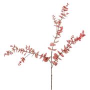 Florabelle - Eucalyptus Spray Stem Pink 1 Metre
