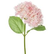 Florabelle - Hydrangea Stem Soft Touch Pink 50cm