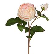 Florabelle - Cabbage Rose Rel Touch Soft Pink 47cm