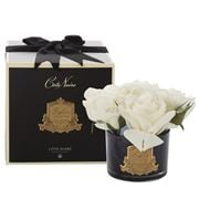 Cote Noire - Five Ivory White Roses In Gold Crest