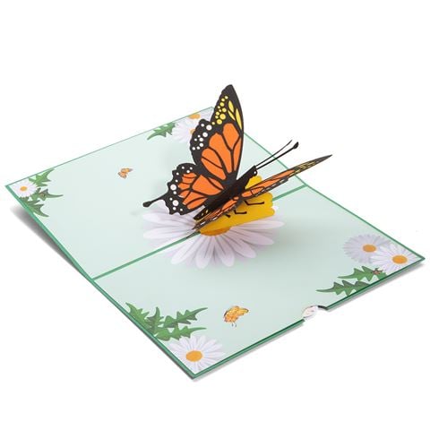 Colorpop - Butterfly Greeting Card Orange