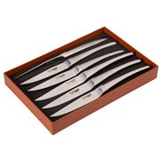 Laguiole - En Aubrac S/Steel Steak Knives Monobloc Mat 6pce
