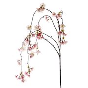 Florabelle - Cherry Blossom Hanging Spray Pink 130cm